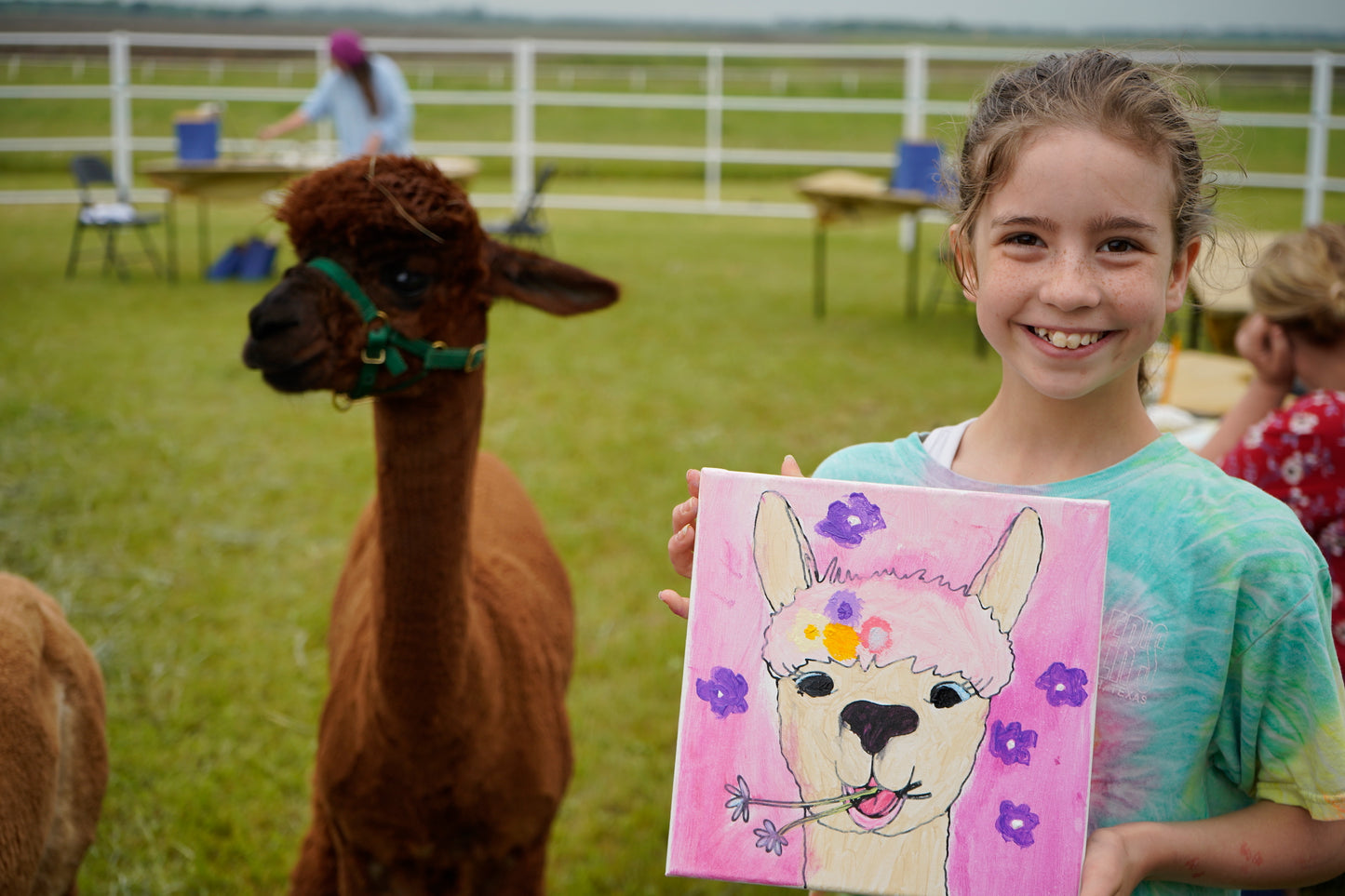 Alpaca Painting Kit Party Pack - SPECIAL ORDER