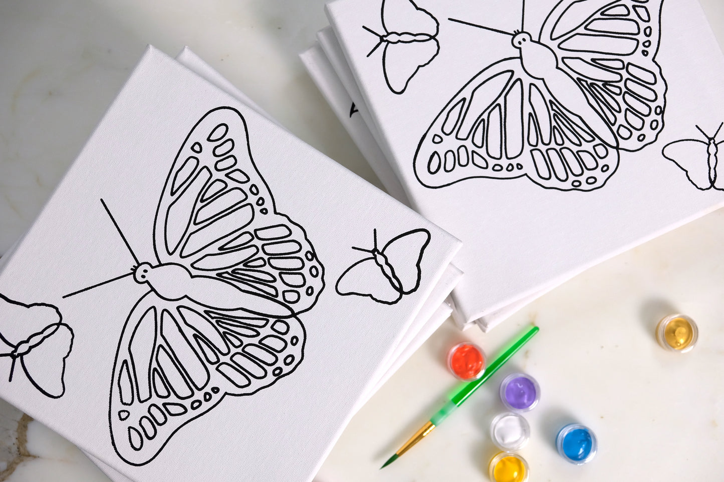 Butterflies Painting Kit Party Pack - SPECIAL ORDER