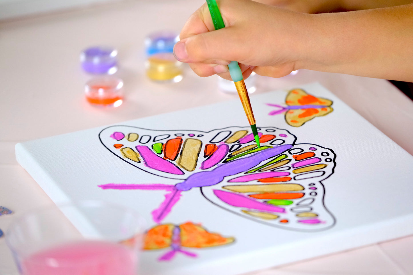Butterflies Painting Kit