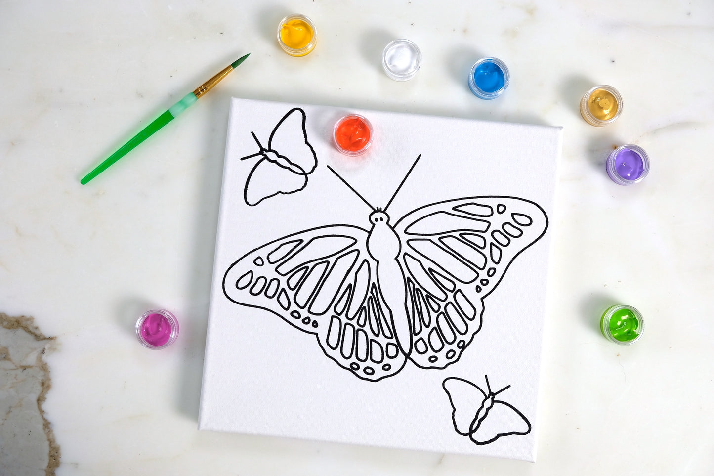 Butterflies Painting Kit