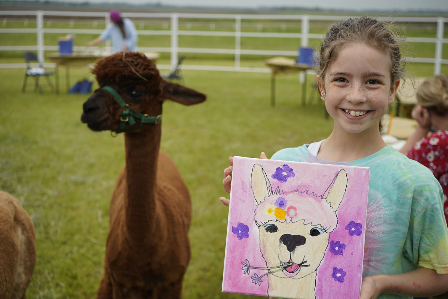 Alpaca Painting Kit