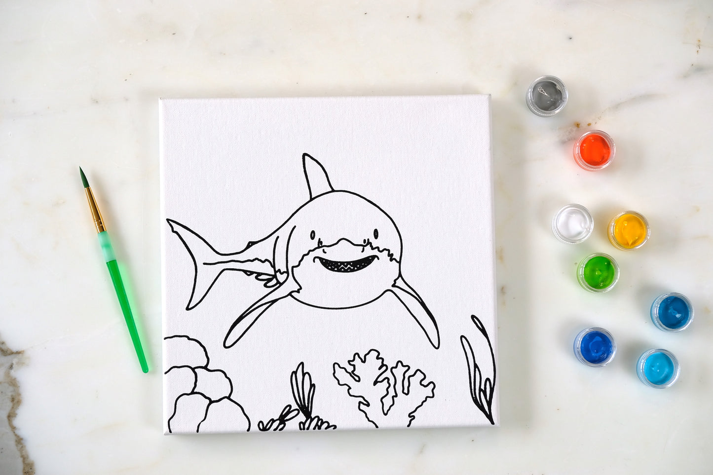 Shark Painting Kit