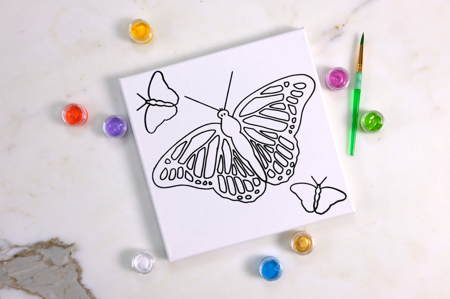 Butterflies Painting Kit