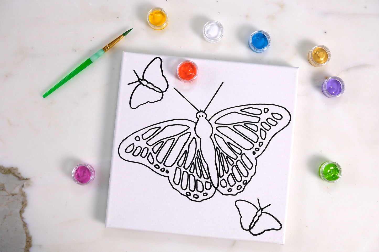 Butterflies Painting Kit Party Pack - SPECIAL ORDER