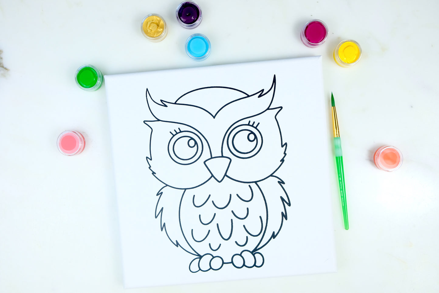 Owl Painting Kit