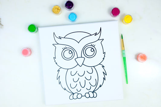 Owl Painting Kit