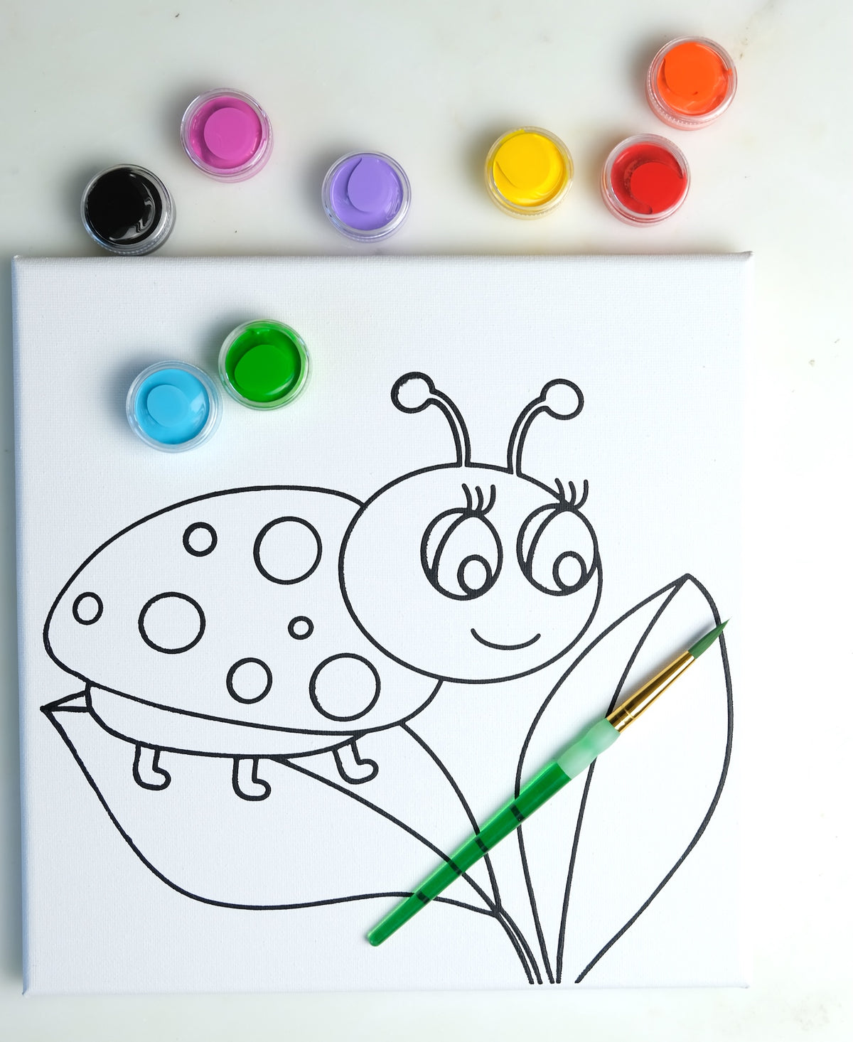Ladybug Painting Kit