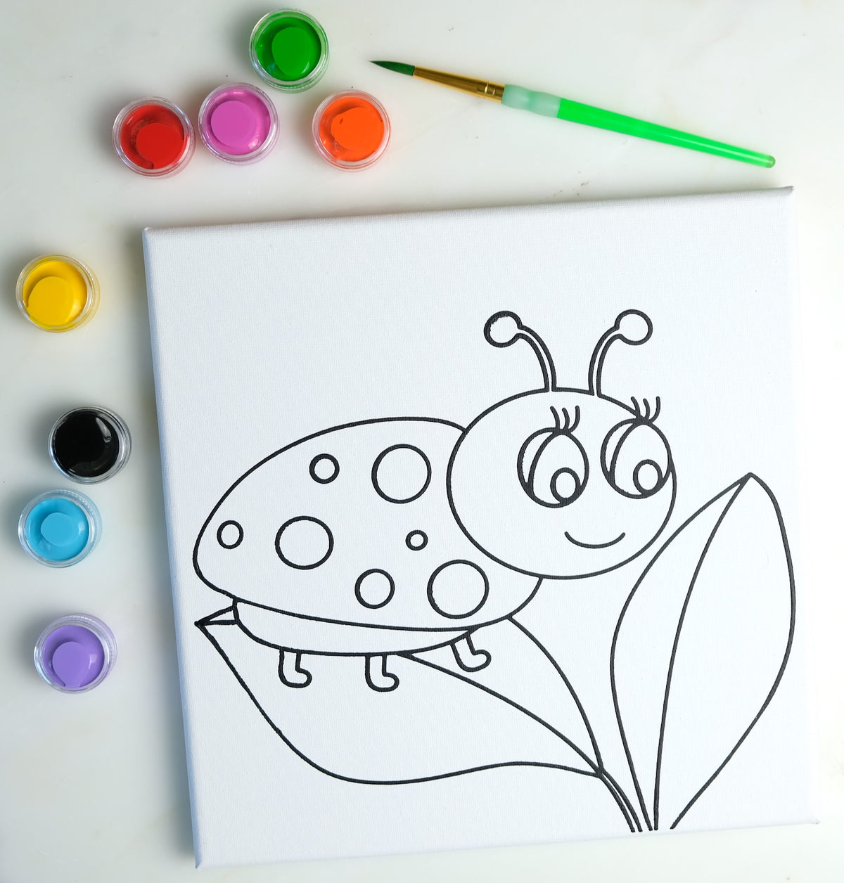 Ladybug Painting Kit Party Pack - SPECIAL ORDER